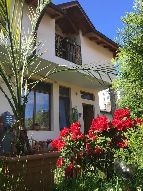 Guest house Elizabeth