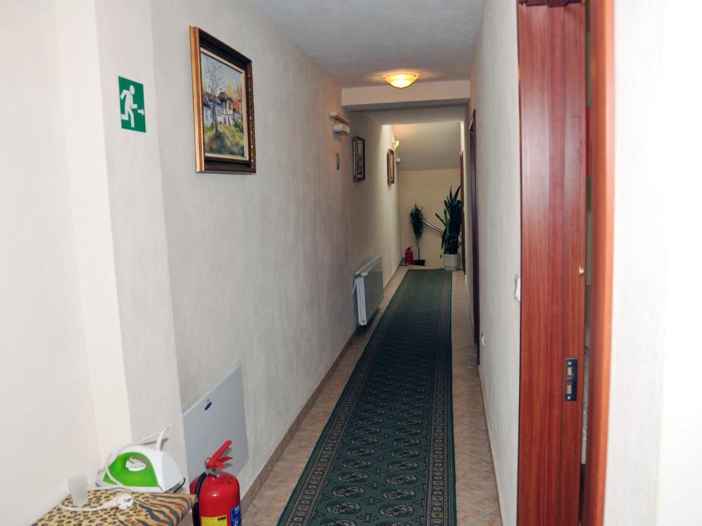 Guest house Elizabeth Samokov